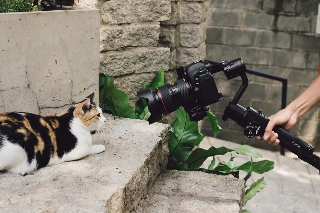 TOP 3 Gimbal cho máy ảnh DSLR tốt nhất hiện nay