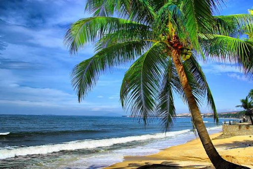 Mũi Né là một trong các địa điểm du lịch biển ở miền Nam nổi tiếng nhất