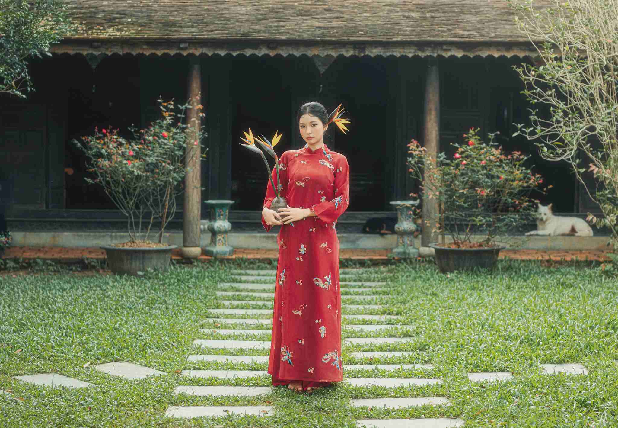 Thần thái nghiêm trang khi chụp Việt Phục