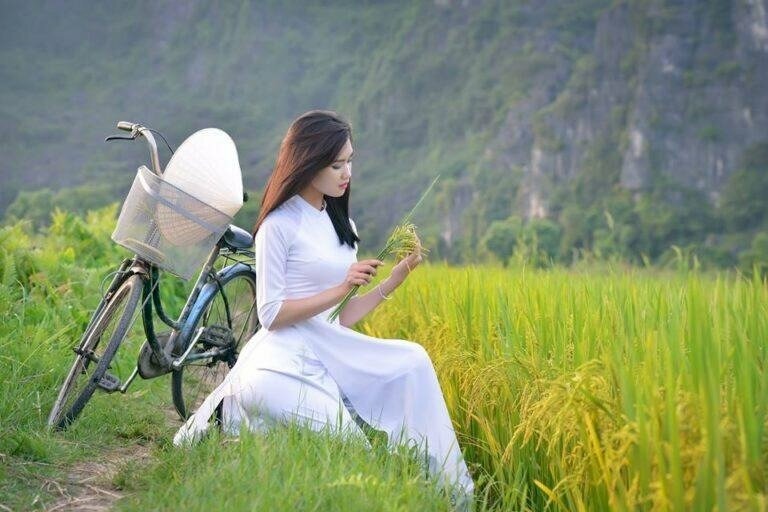 Tạo dáng chụp ảnh cánh đồng lúa dịu dàng