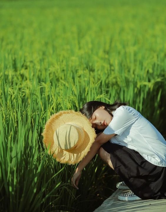 Tạo dáng chụp ảnh với cánh đồng lúa