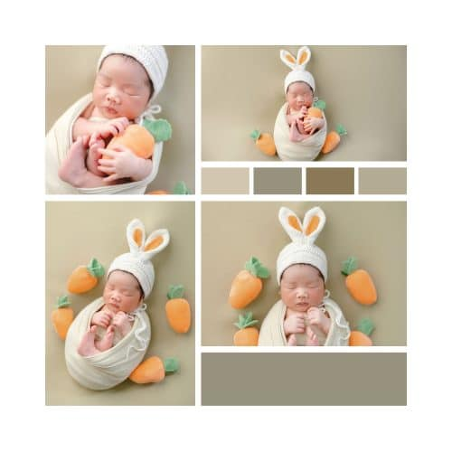 Thỏ con và củ cà rốt ngọt ngào