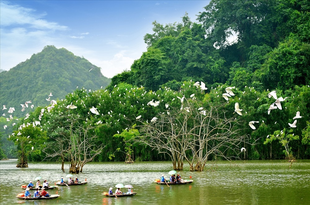Vườn chim Thung Nham là điểm đến độc đáo