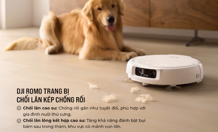 Chổi lăn kép chống rối