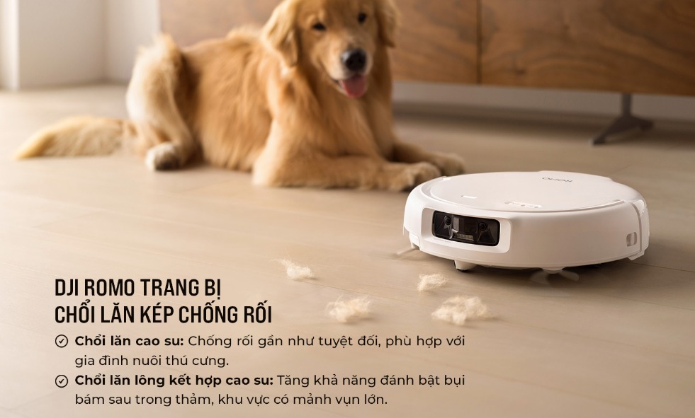 Chổi lăn kép chống rối