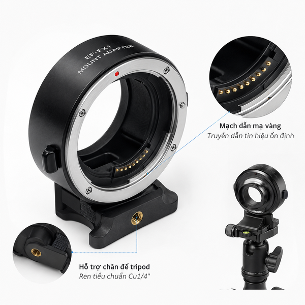 Mạch dẫn mạ vàng và hỗ trợ chân đế tripod