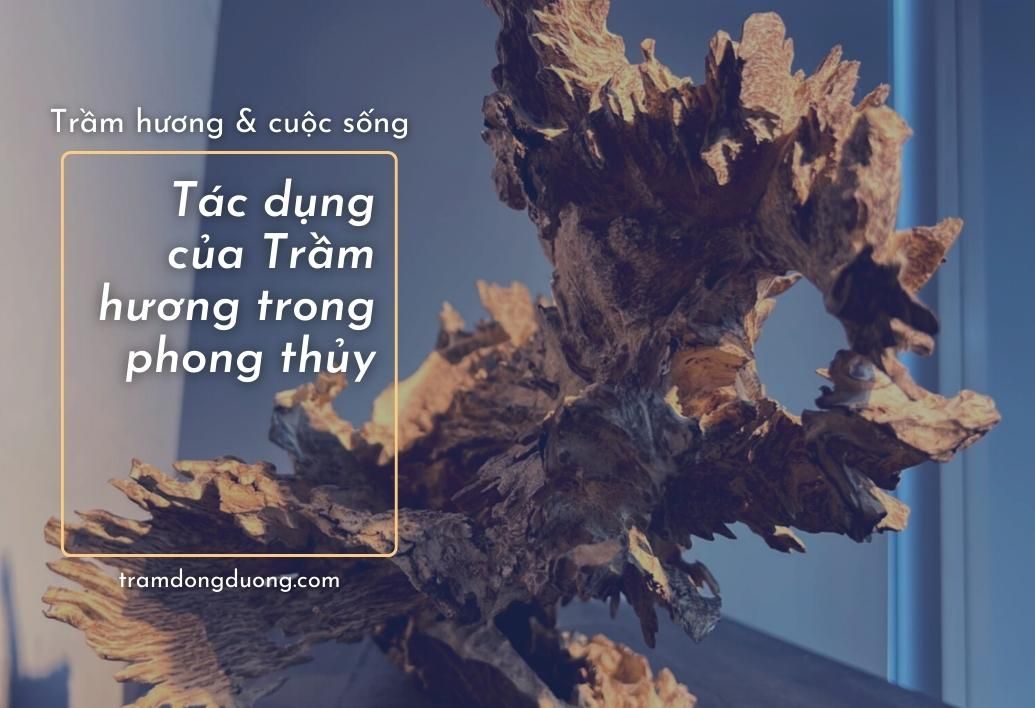 [KHÁM PHÁ] Tác dụng của Trầm hương trong phong thủy