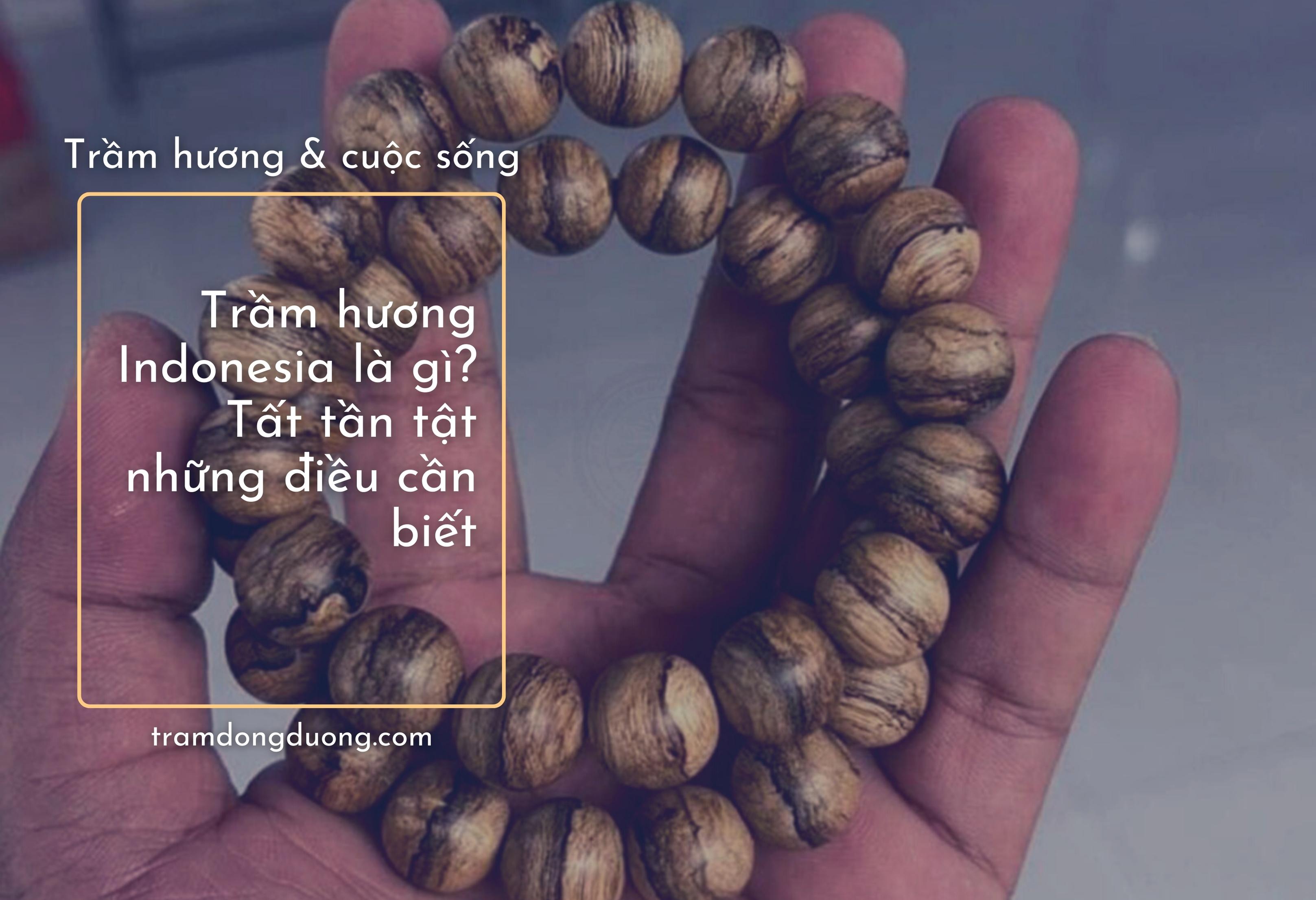 Giới thiệu bộ quà tặng trung thu 2022 của Trầm Đông Dương