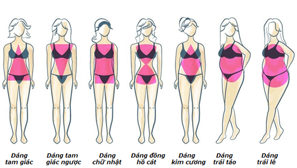 Vóc dáng của bạn là gì?