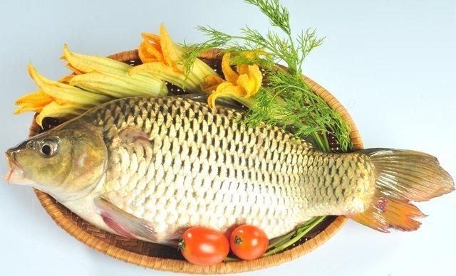 Những lợi ích tuyệt vời từ Cá