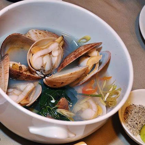 Ngao 2 cồi