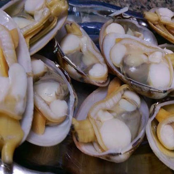Bào ngư đông lạnh