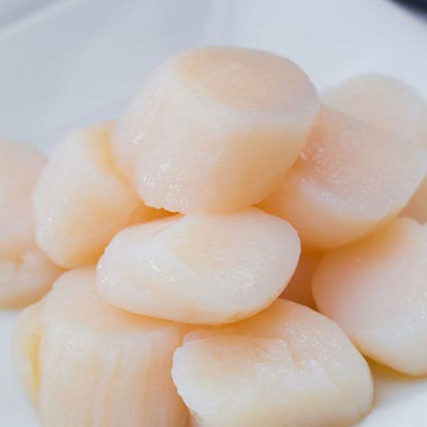Bào ngư tươi