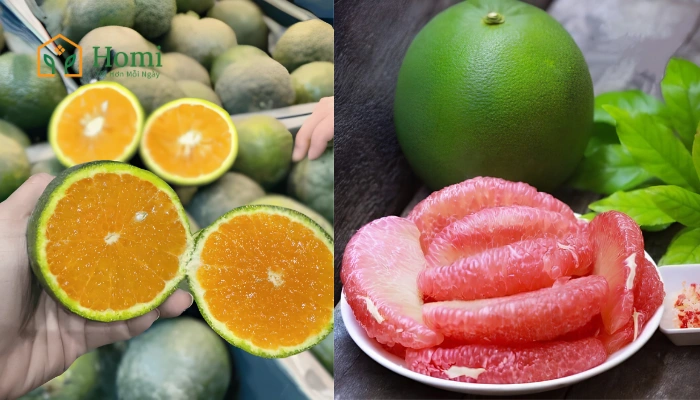 Cách nhận biết trái cây sạch và trái cây tươi ngon