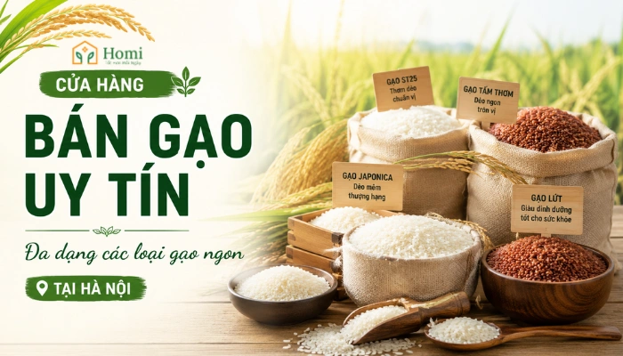 cửa hàng gạo