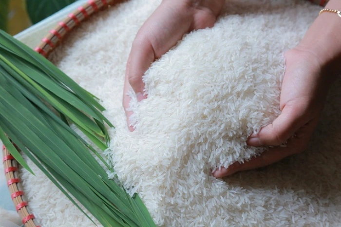 Gạo cho quán cơm, nhà hàng cần nguồn cung ổn định, chất lượng đồng đều