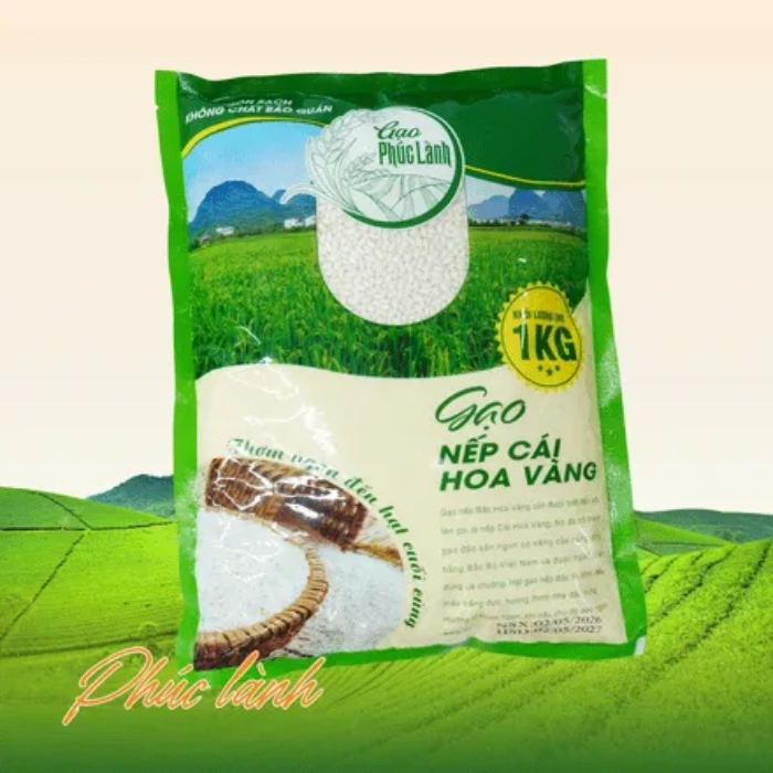 Gạo nếp cái hoa vàng Phúc Lành hạt gạo tròn đều dẻo thơm