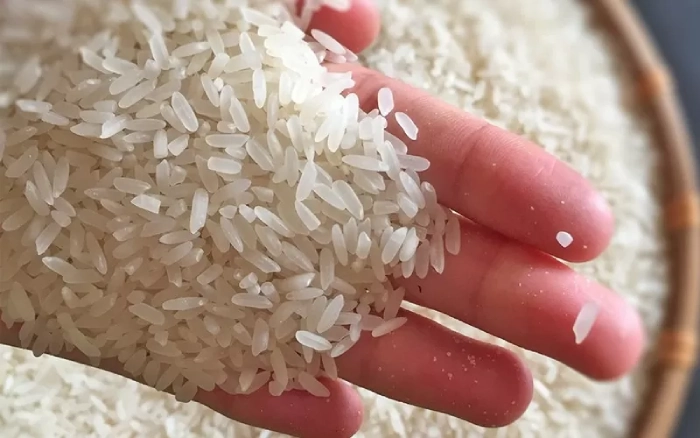 Quan sát kỹ hình dáng và màu sắc của gạo