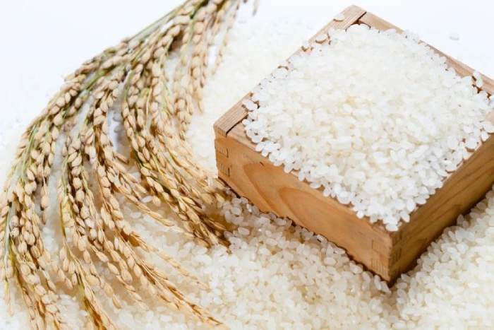 Gạo Nhật hạt tròn đặc trưng, độ dẻo cao
