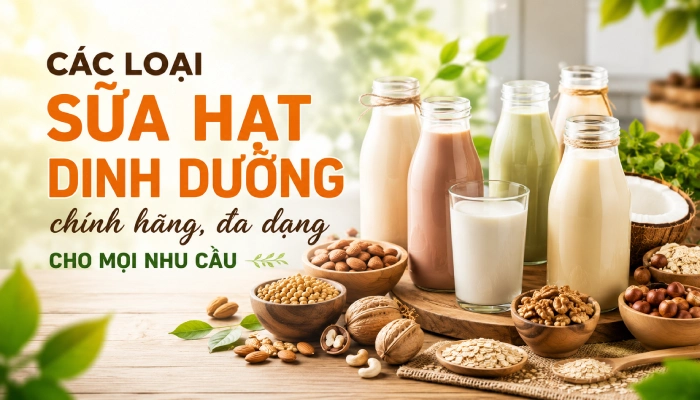 các loại sữa hạt