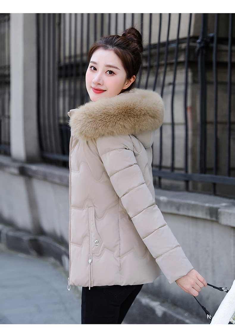 20251101_yC4k61wB.jpg