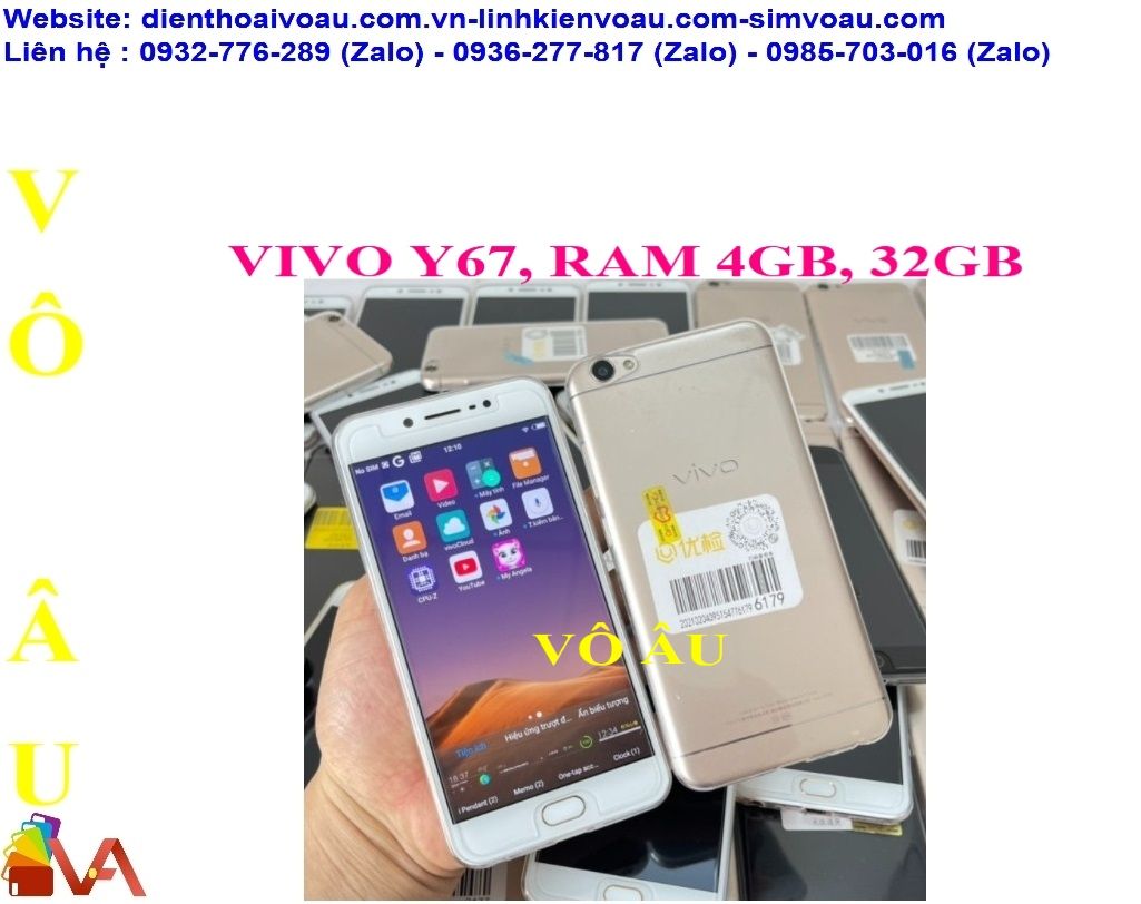 VÔ ÂU - CHUYÊN PHÂN PHỐI VIVO Y67
