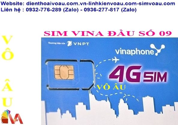 SIM VINA KÍCH TRÊN 6 THÁNG