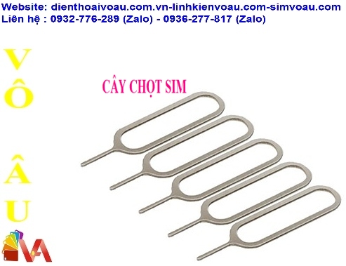 CÂY CHỌC KHE SIM