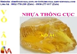 NHỰA THÔNG CỤC