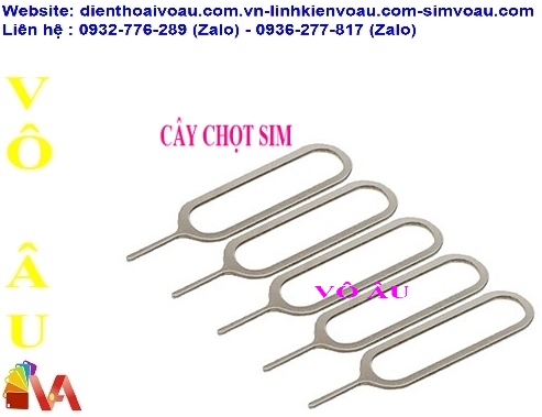 CÂY CHỌT SIM