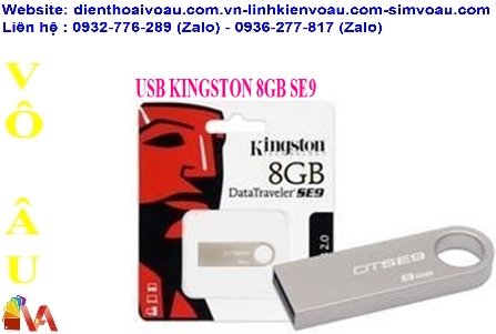 USB KINGSTON 8GB SE9