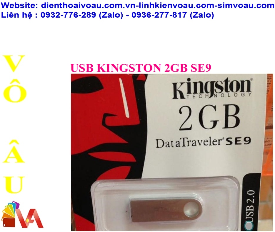 USB KINGSTON 2GB SE9