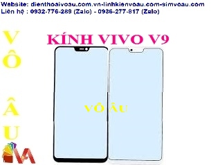 KÍNH VIVO V9