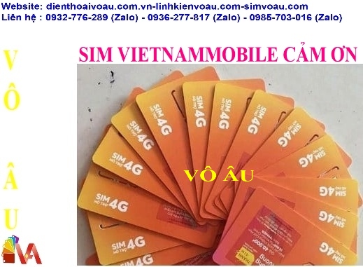 SIM VIETNAMMOBILE CẢM ƠN