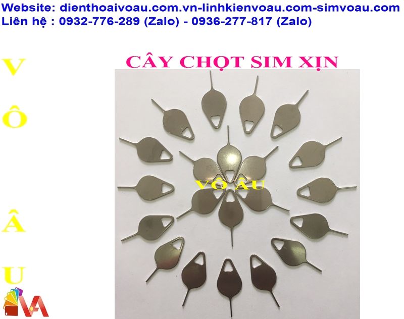 CÂY CHỌT SIM XỊN