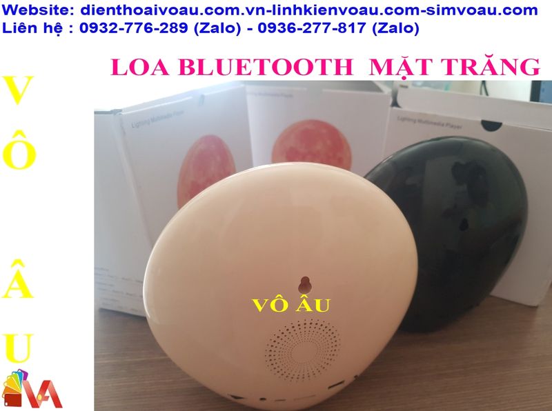 LOA BLUETOOTH MẶT TRĂNG