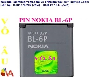 PIN NOKIA 6P