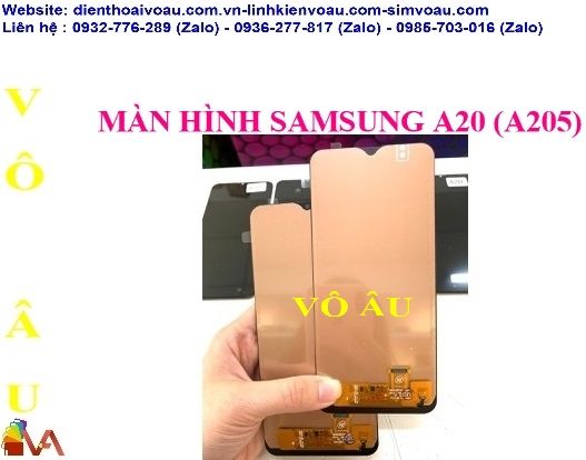 MÀN HÌNH SAMSUNG A20 (A205F) ZIN