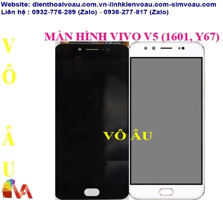 MÀN HÌNH VIVO V5