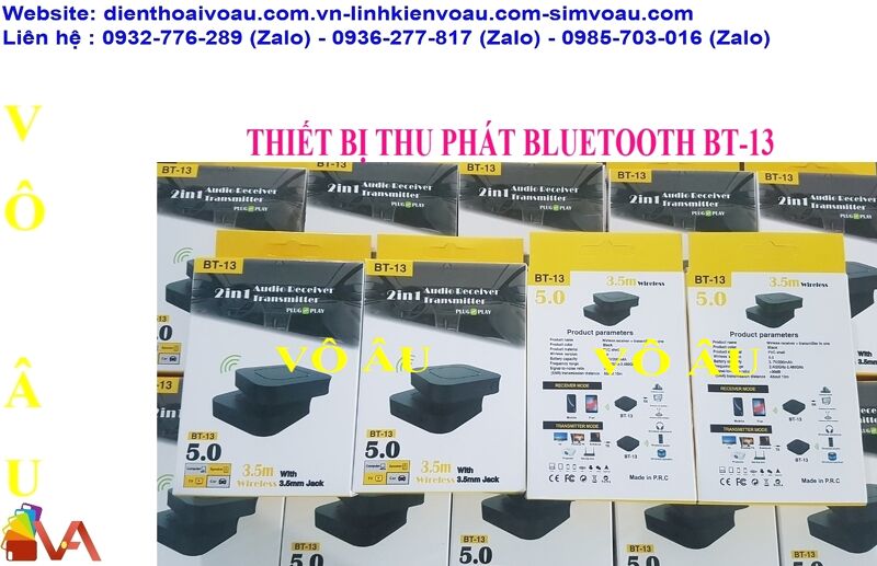 THIẾT BỊ THU PHÁT BLUETOOTH BT-13