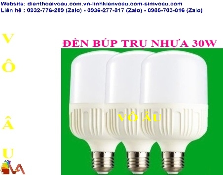 ĐÈN BÚP TRỤ NHỰA 30W