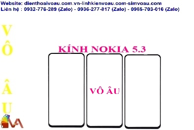 KÍNH NOKIA 5.3