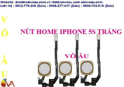 NÚT HOME IPHONE 5S MÀU TRẮNG