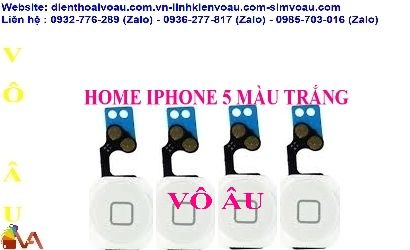 NÚT HOME IPHONE 5 MÀU TRẮNG