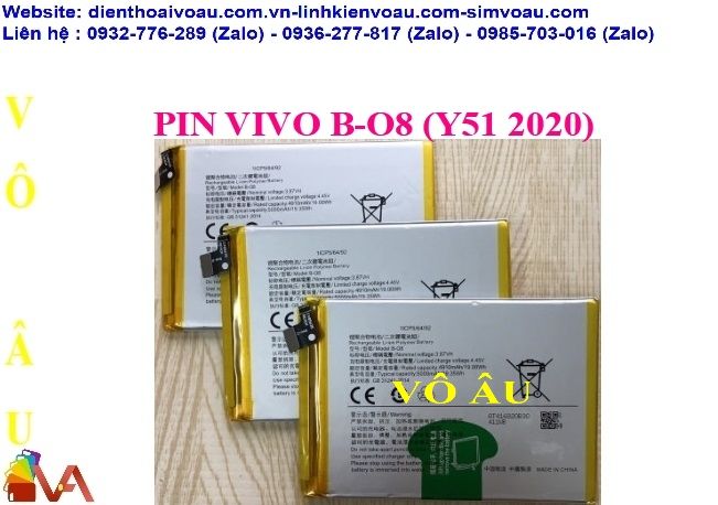 PIN VIVO B-O8