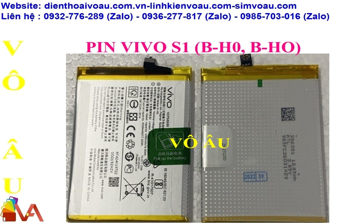 PIN VIVO B-H0 ZIN