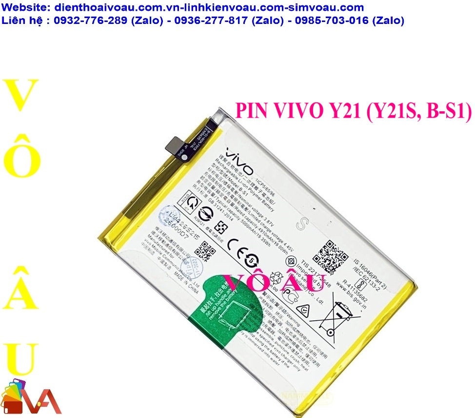 PIN VIVO B-S1 ZIN