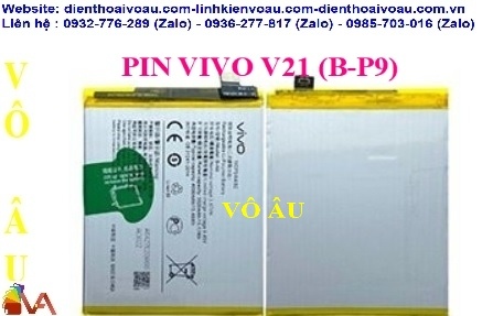 PIN VIVO V21 (B-P9) ZIN