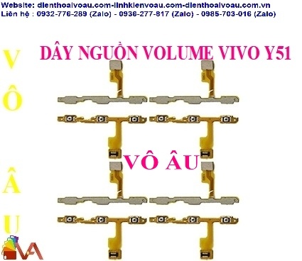 DÂY NGUỒN VOLUME VIVO Y51