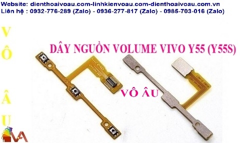 DÂY NGUỒN VOLUME VIVO Y55